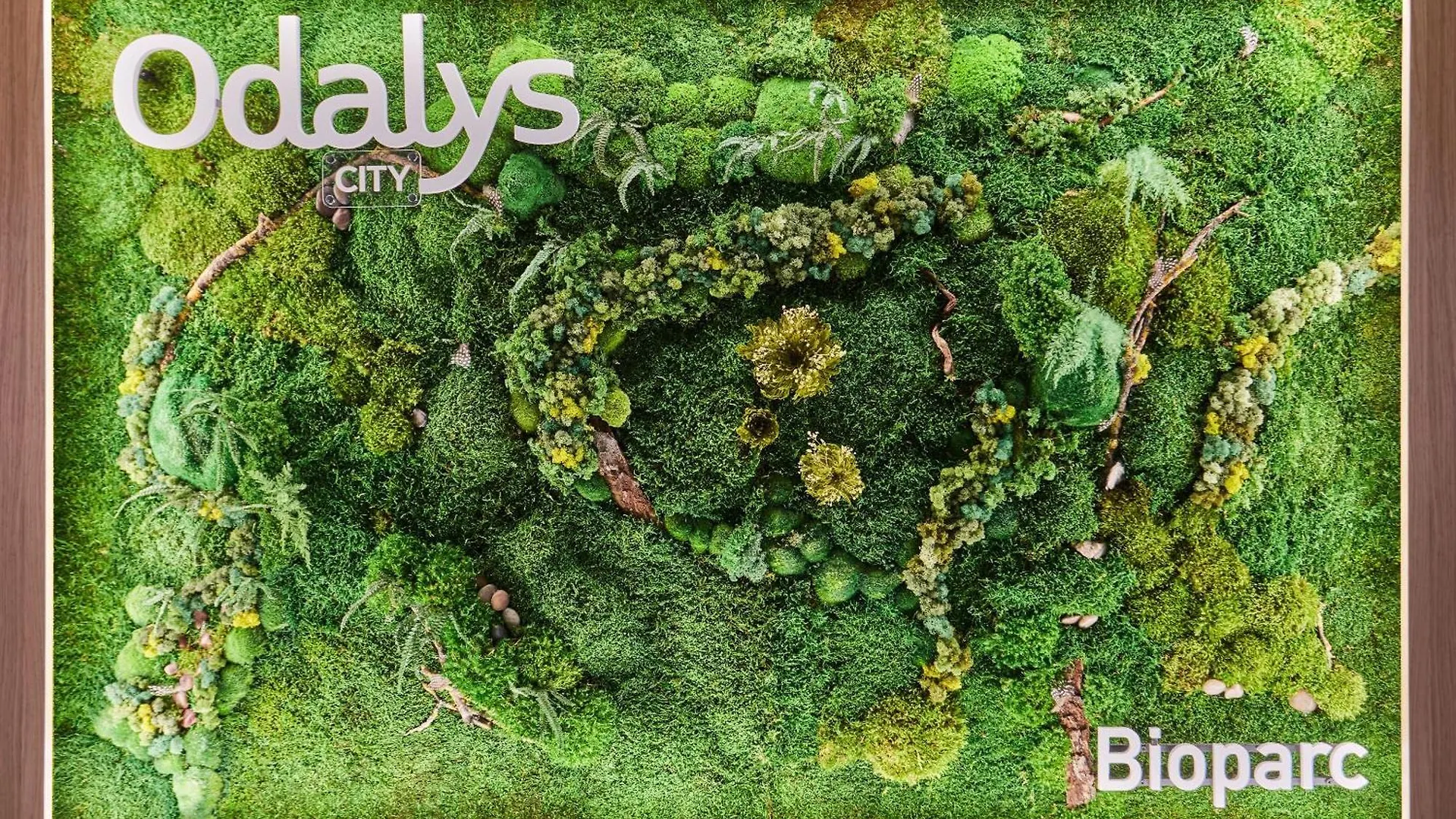 Appart'Hotel Odalys City - Bioparc Lyon Est Aparthotel